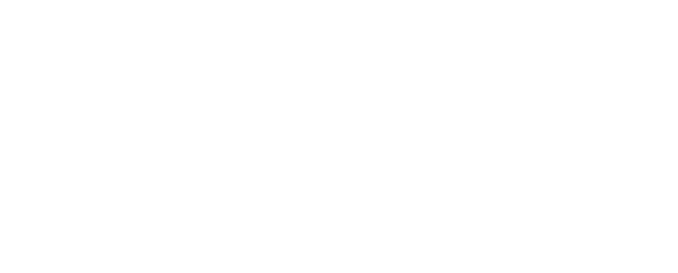 Roman Staněk - Závodní Simulátory